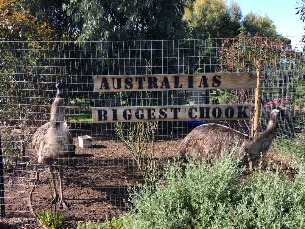 McLaren Vale Natives | 33 Stump Hill Rd, McLaren Vale SA 5171, Australia | Phone: 0414 303 424