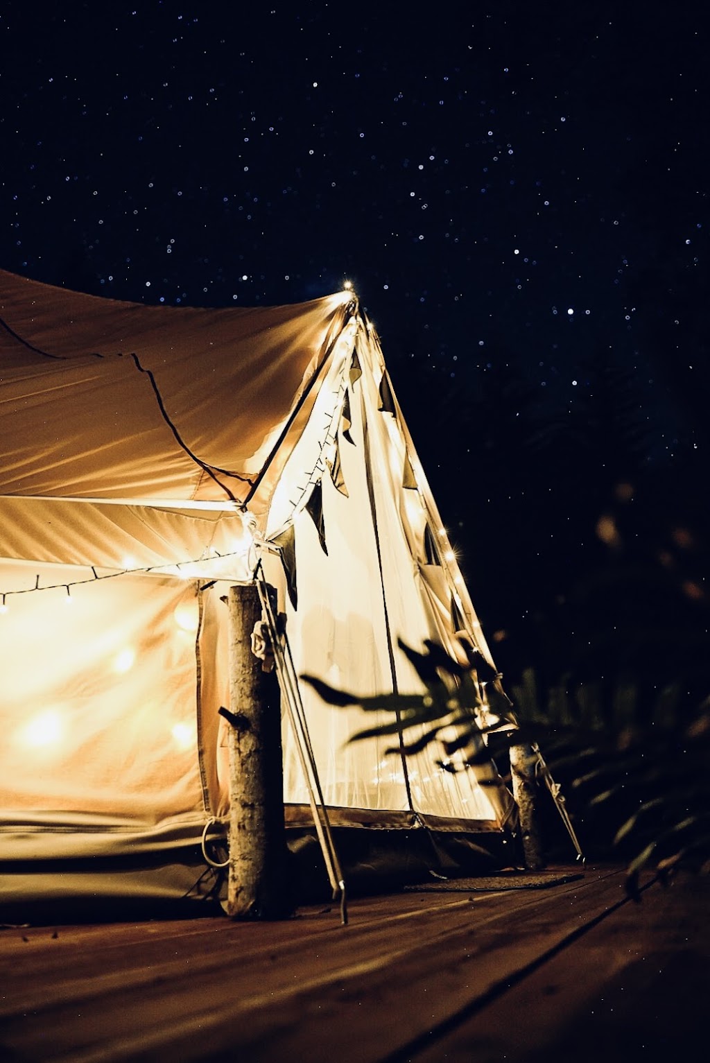 Riversong Glamping | 2900 Gordon River Rd, Tyenna TAS 7140, Australia | Phone: 0459 053 171