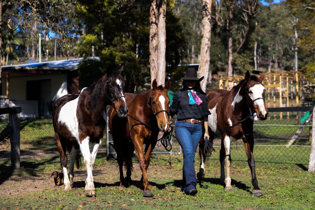 Dezigna Lodge Horsemanship | 1 Nonmus Rd, Stanmore QLD 4514, Australia | Phone: 0429 337 716