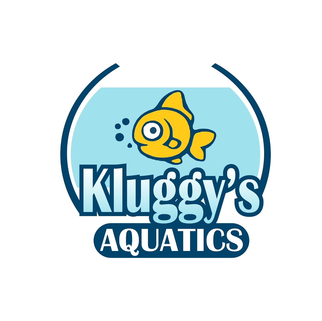 Kluggys Aquatics | pet store | 23/55 Commerce Cct, Yatala QLD 4207, Australia