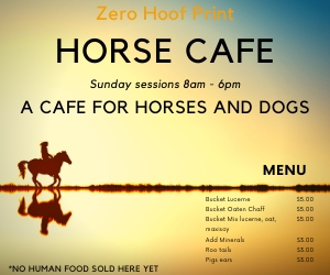 Zero Hoof Print - horse cafe & camping | 145A Foreshore Rd, Kelso TAS 7270, Australia | Phone: 0401 717 622