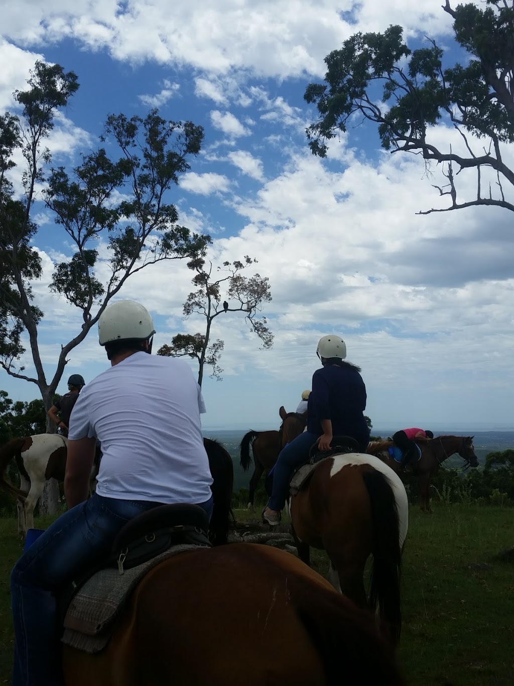 Slickers Horse Riding | travel agency | 190 Ocean View Rd, Ocean View QLD 4521, Australia | 0414877562 OR +62 414 877562