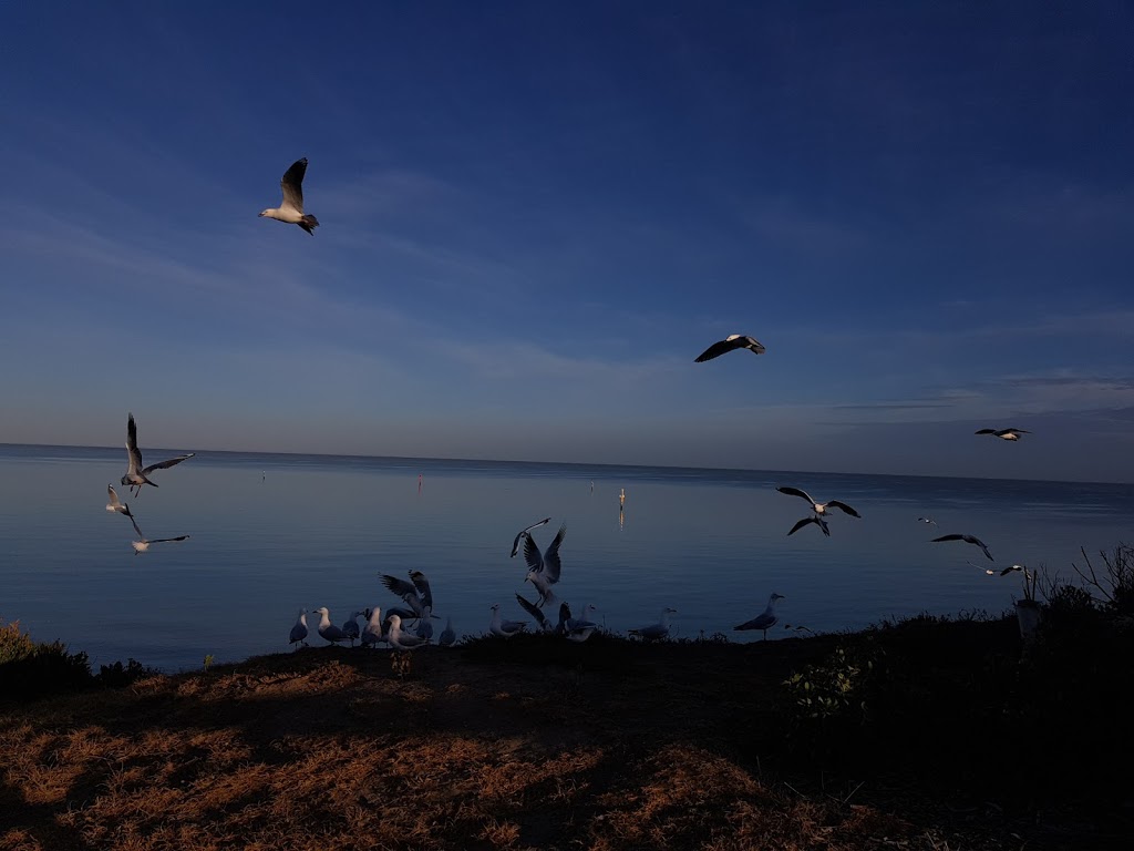 Fishermans Beach Boat Ramp | Esplanade, Mornington VIC 3931, Australia | Phone: 1300 850 600