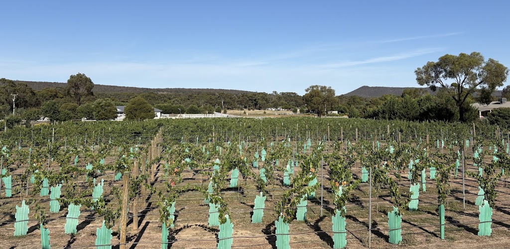Indomitable Heathcote | 6 Hamilton Ct, Heathcote VIC 3523, Australia | Phone: 0411 473 540