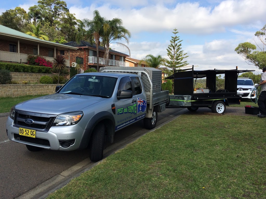 Pest and Termite Pty Ltd | 31 Clair Cres, Padstow Heights NSW 2211, Australia | Phone: (02) 9792 1020