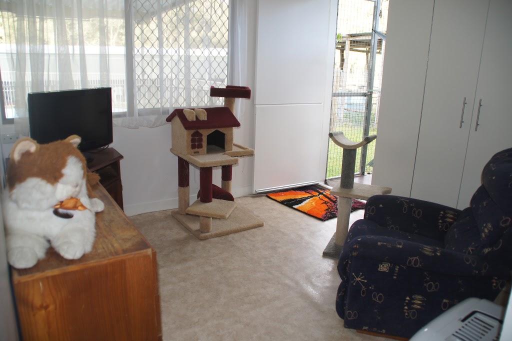 Castle Cattery | 221 Carter Rd, Munruben QLD 4125, Australia | Phone: (07) 3802 1337