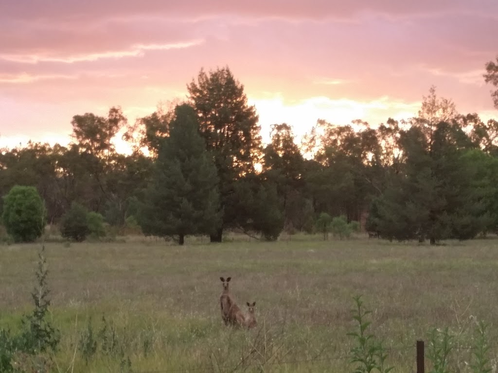 Value Accommodation Serenity House on Acreage Michell Qld | 120 Eton St, Mitchell QLD 4465, Australia | Phone: 0428 969 426