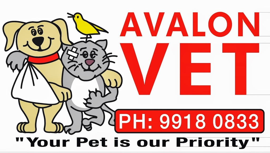 Avalon Veterinary Hospital | 710 Barrenjoey Rd, Avalon Beach NSW 2107, Australia | Phone: (02) 9918 0833