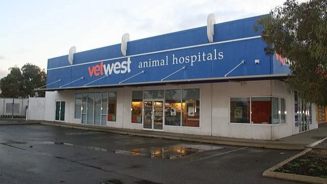 Vetwest Animal Hospitals Canning Vale | 5/888 Nicholson Rd, Canning Vale WA 6155, Australia | Phone: (08) 9404 1166