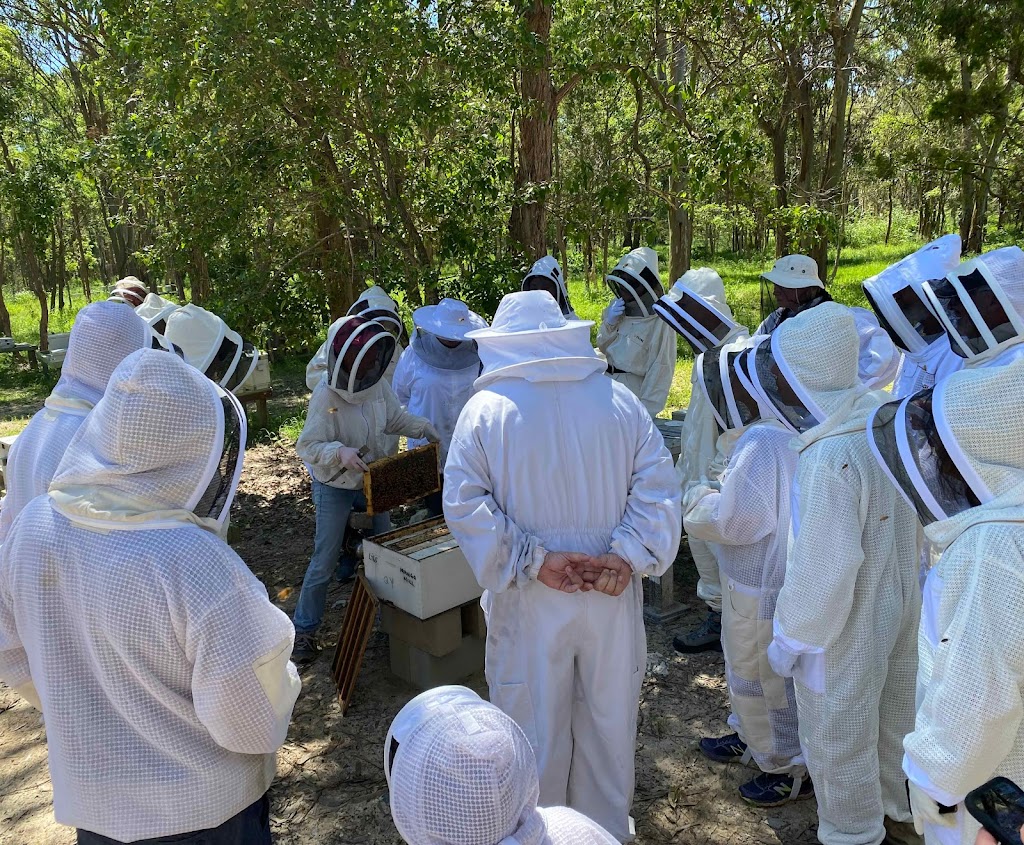 Bees Alive! | 36 Oxford Pl, Fitzgibbon QLD 4018, Australia | Phone: 0435 018 283