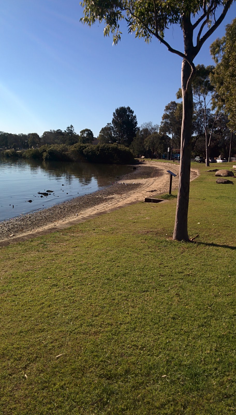 Halliday Park | park | McGrath Ave, Five Dock NSW 2046, Australia | 0299116555 OR +61 2 9911 6555