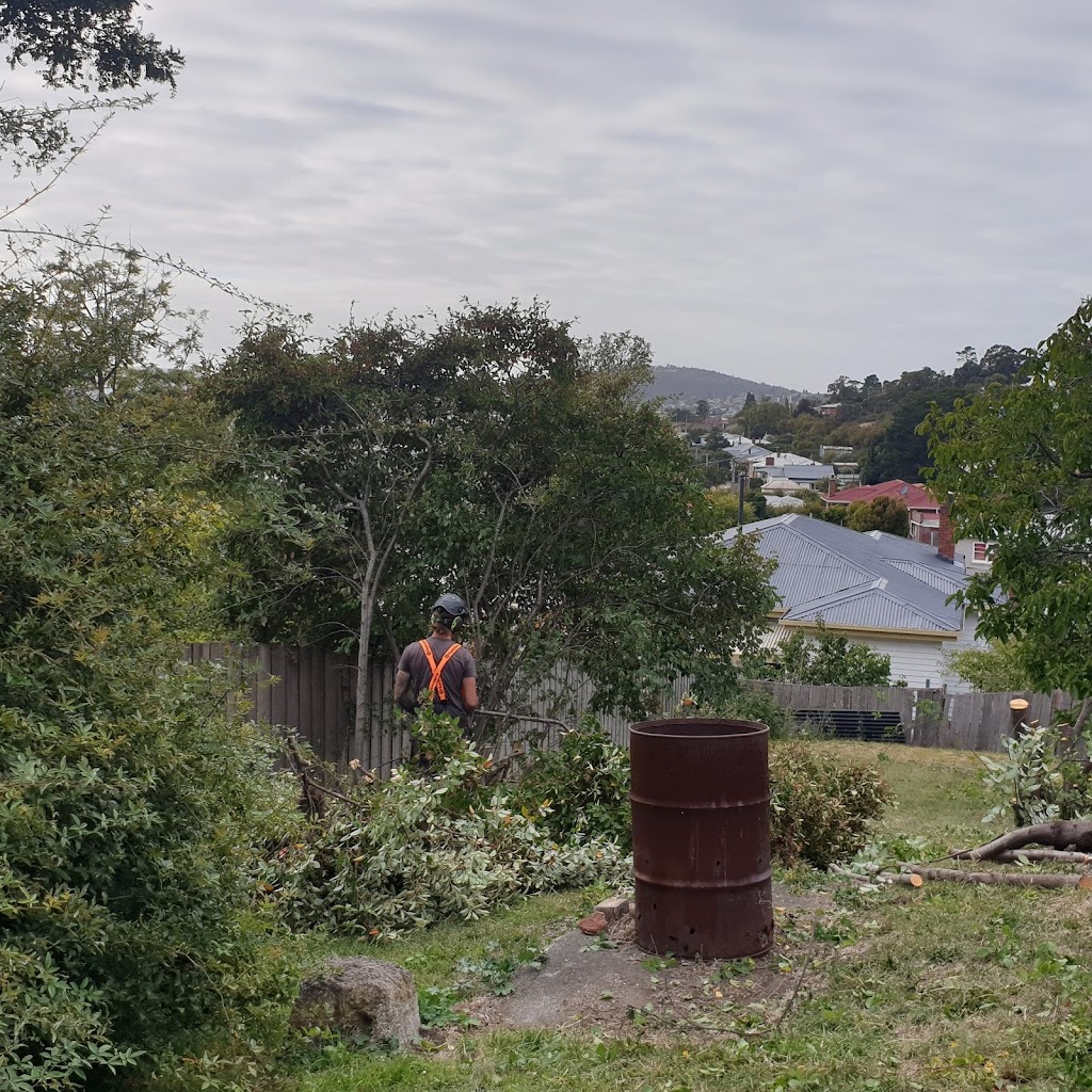 Arbor Co Tasmania | 51 Opus Dr, Acton Park TAS 7170, Australia | Phone: 0413 321 333