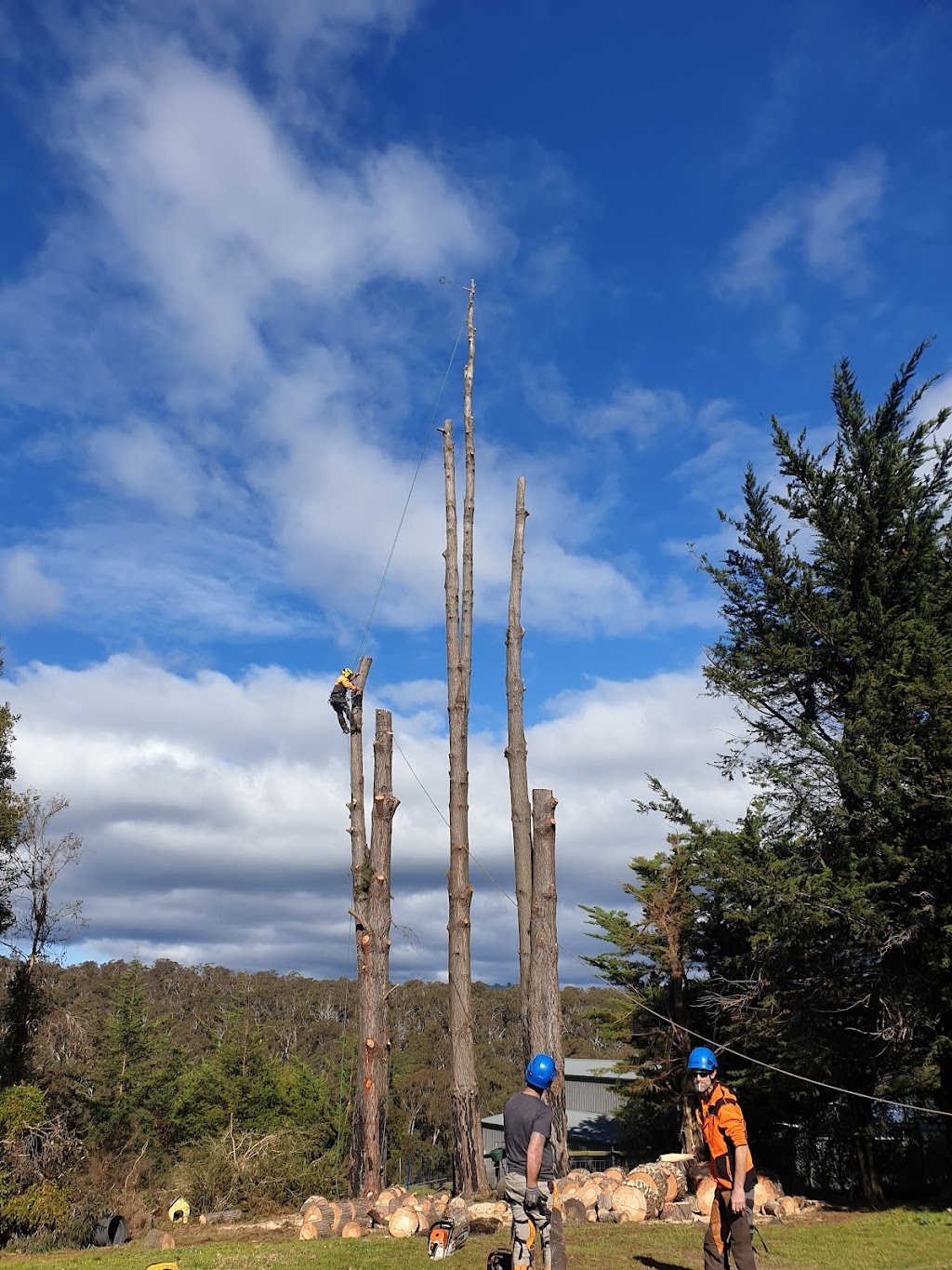 Robs Tree Service | 71 Boulton Cres, Tyers VIC 3844, Australia | Phone: 0419 519 454