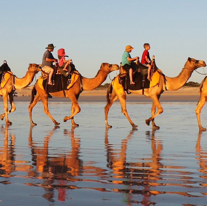 Ships of the Desert - Cable Beach Camel Tours | Broome WA 6725, Australia | Phone: (03) 3254 8954