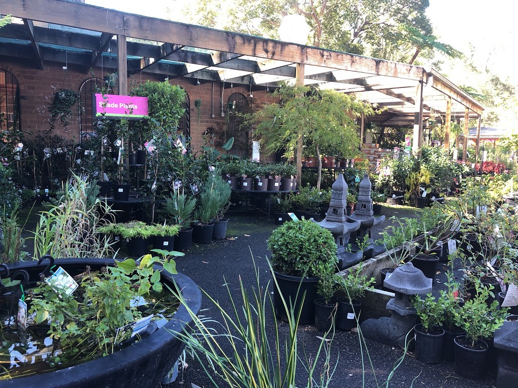 Plants Plus Cumberland Forest | 95 Castle Hill Rd, West Pennant Hills NSW 2125, Australia | Phone: (02) 9871 3222