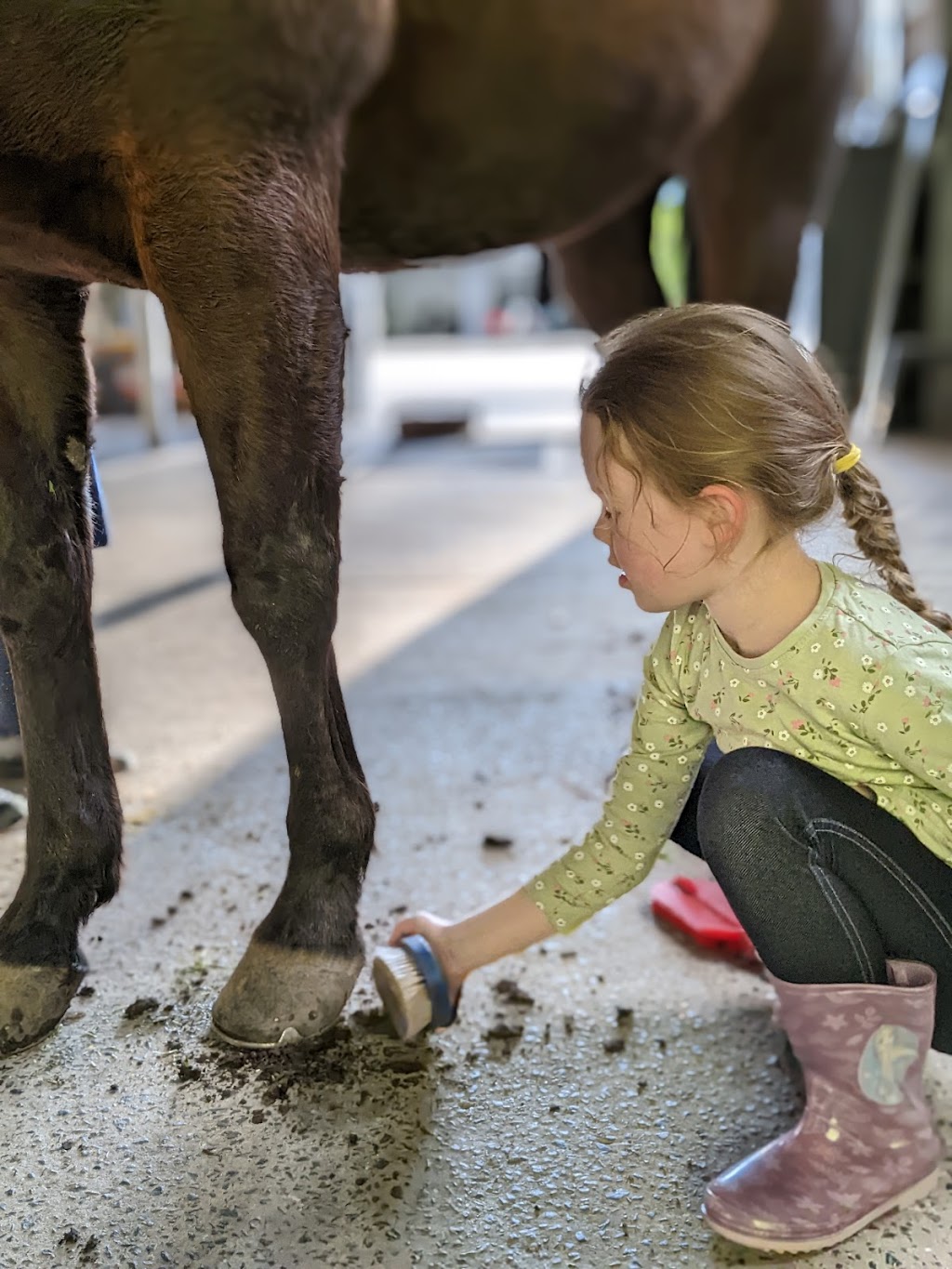 Sunnybank Therapies | 16 Chittaway Rd, Ourimbah NSW 2258, Australia | Phone: 0435 370 817