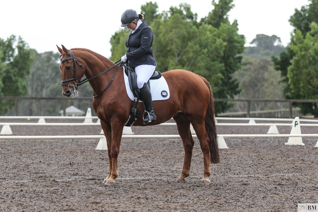 Brighton Park Boutique Agistment | 270 Bushells Ridge Rd, Wyee NSW 2259, Australia | Phone: 0411 113 045