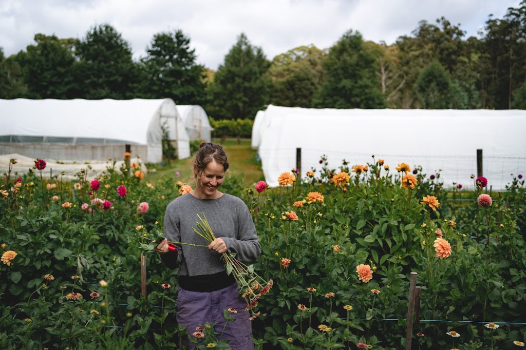 Five Tales Farm | 3525 Yarra Junction-Noojee Rd, Piedmont VIC 3833, Australia | Phone: 0466 979 331 Five Tales Farm | 3525 Yarra Junction-Noojee Rd, Piedmont VIC 3833, Australia | Phone: 0466 979 331