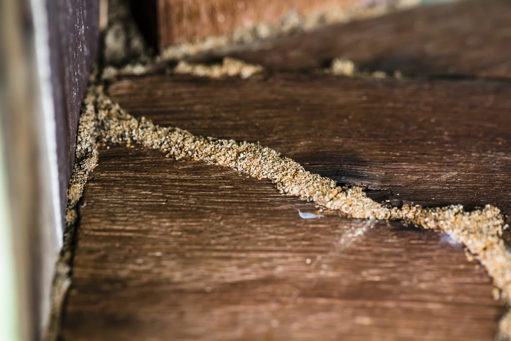 ABC Termite Control Milperra | Termite Control, Milperra NSW 2214, Australia | Phone: 0488 885 469