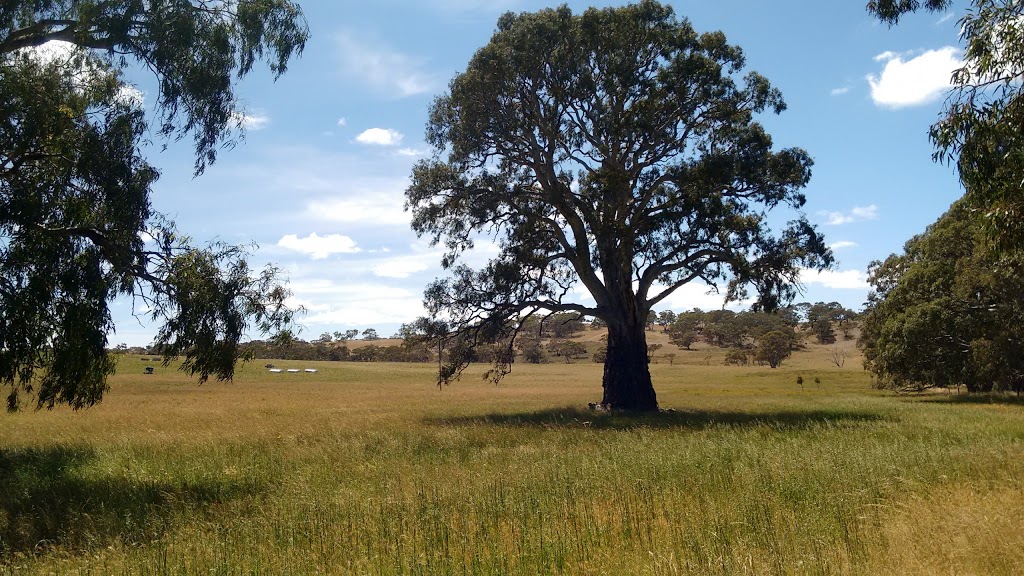 Nomad Farms | 713 Signal Flat Rd, Finniss SA 5255, Australia | Phone: 0412 500 022