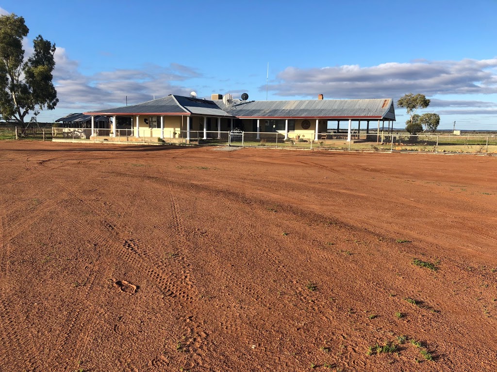 Station Stay at Mellenbye | Mellenbye Station, Morawa-Yalgoo Rd, Yalgoo WA 6635, Australia | Phone: (08) 9972 3072