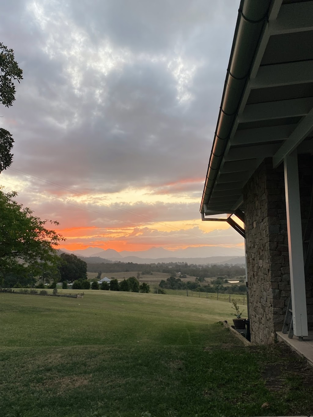 Fig Tree Hill Estate | 305 Sugarloaf Rd, Bunburra QLD 4310, Australia | Phone: 0400 980 166
