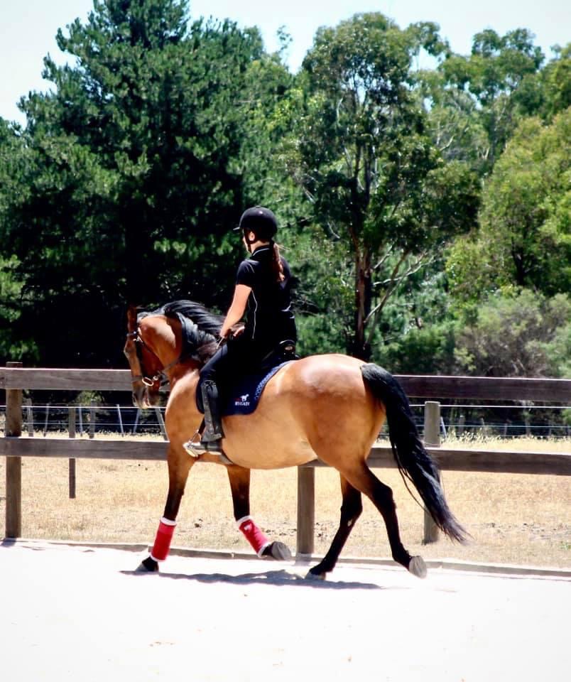 Ellamber Park Equestrian |  | Elliotts Rd, Broadford VIC 3658, Australia | 0428260127 OR +61 428 260 127