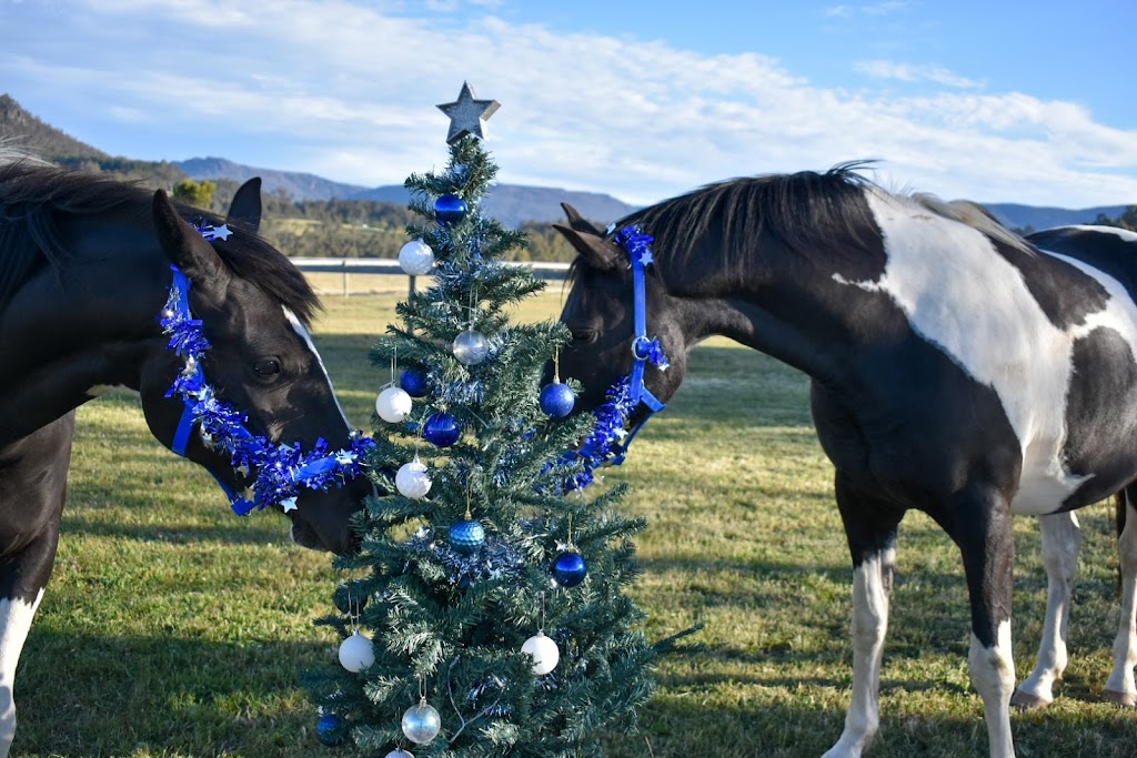 Blackwood Park Horse Stud | 26 Barbers Rd, Meander TAS 7304, Australia | Phone: 0407 435 311