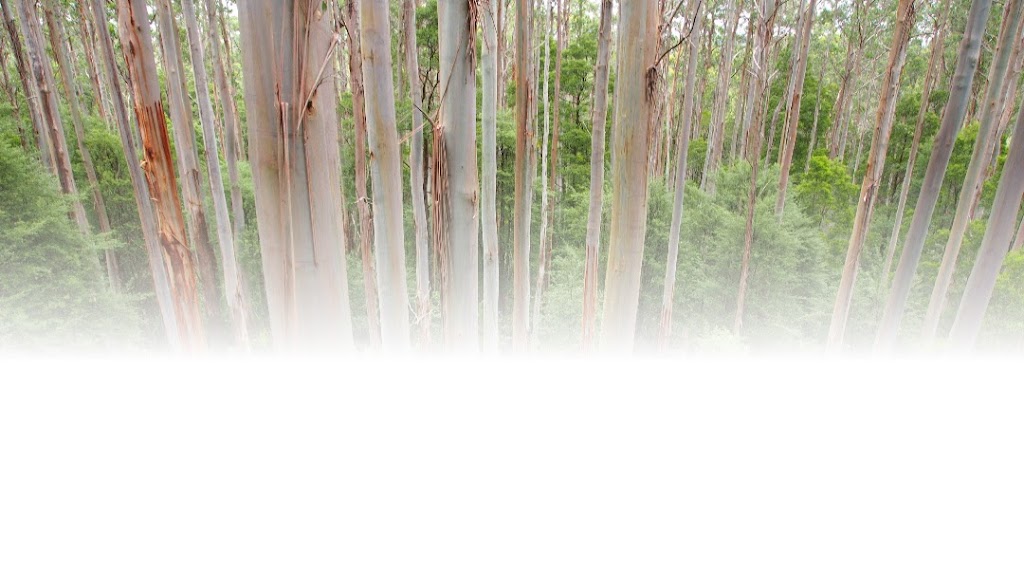 Ballarat TreeWorks |  | Humffray St N, Ballarat VIC 3352, Australia | 0417370312 OR +61 417 370 312