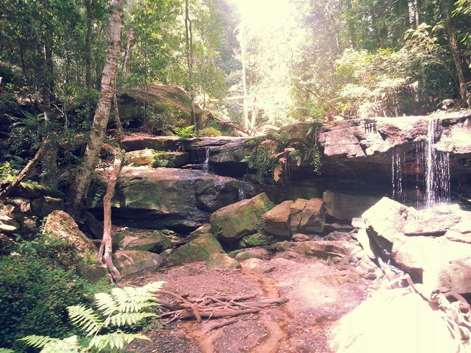 Small pool and cascade | park | Hawkesbury Track, Somersby NSW 2250, Australia