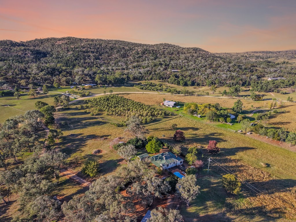 Wyaldra Park Homestead | Wyaldra Ln, Cooks Gap NSW 2850, Australia | Phone: 0438 989 182