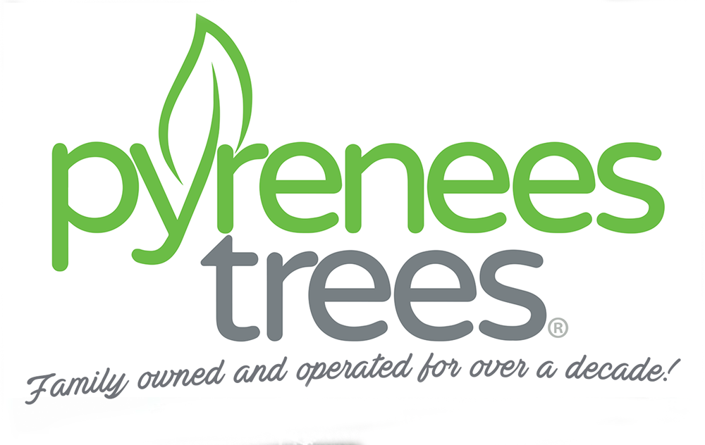 Pyrenees Trees |  | 376 Tullaroop Rd, Carisbrook VIC 3465, Australia | 0409517064 OR +61 409 517 064