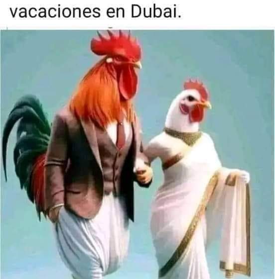 BERWINDI FARM FRESH PRODUCE | Berwindi/1470 Castlereagh Hwy, Blackmans Flat NSW 2790, Australia | Phone: 0408 642 121