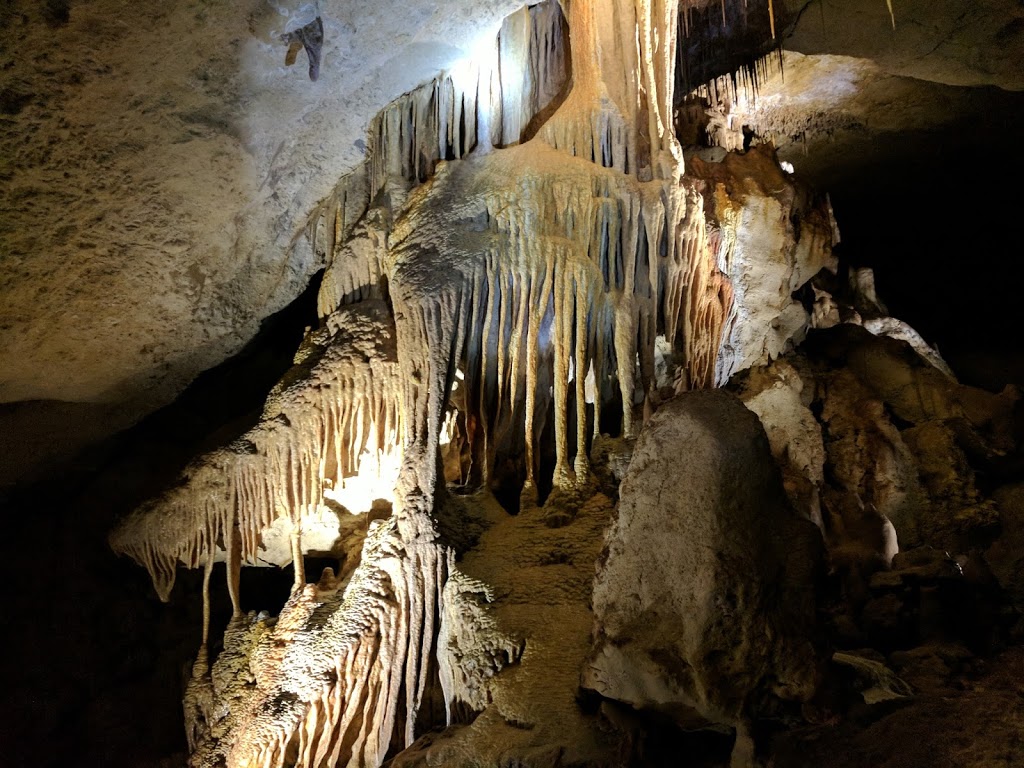Naracoorte Caves National Park Visitor Centre |  | Joanna SA 5271, Australia | 0887622340 OR +61 8 8762 2340