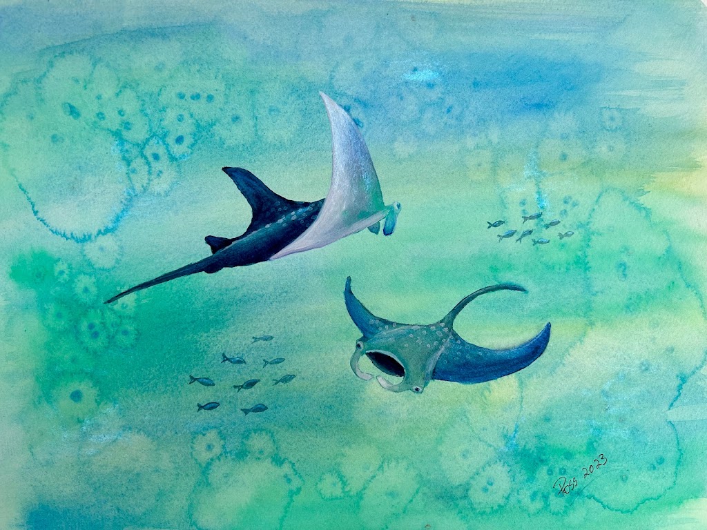 Art by Poss | Homedale Rd, Kew NSW 2439, Australia | Phone: 0459 232 896