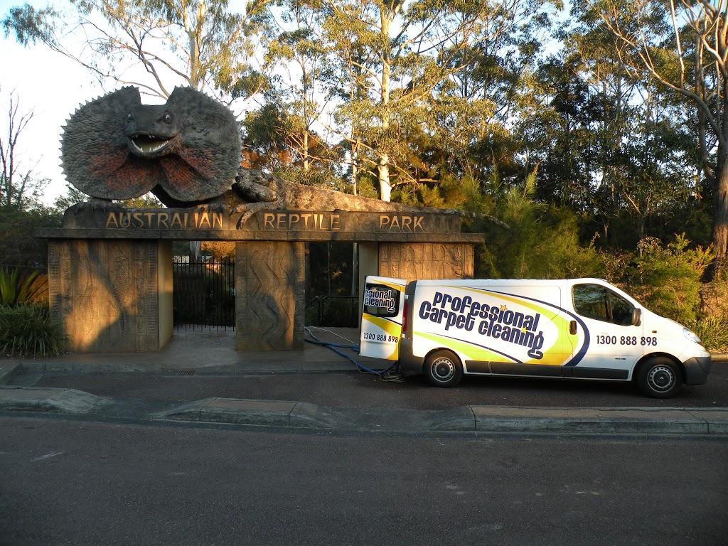Professional Carpet Cleaning | 20 Albatross Cl, Forresters Beach NSW 2260, Australia | Phone: (02) 4384 7888