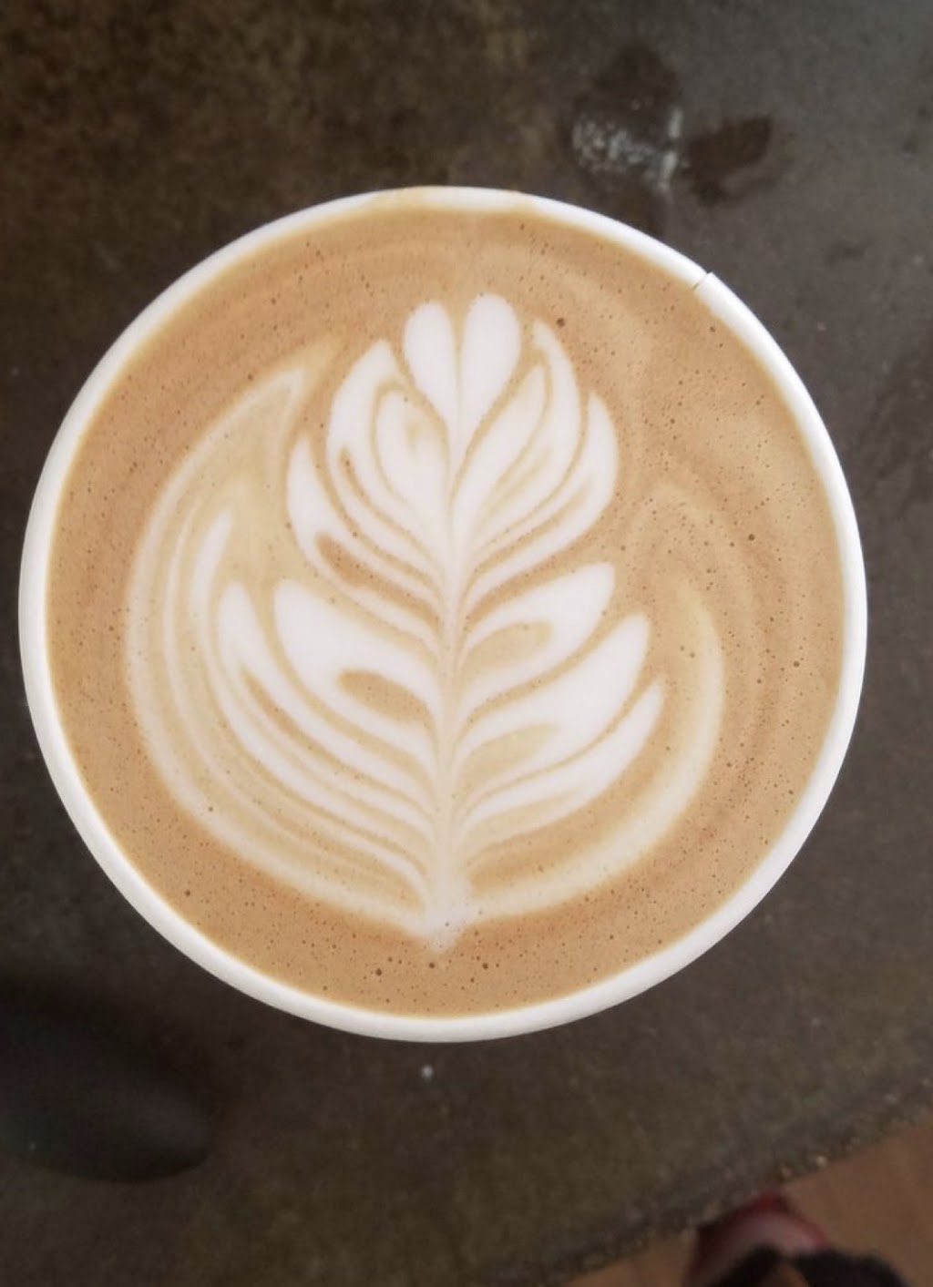 Elk Espresso Coffee Van | Church St, Moruya NSW 2537, Australia | Phone: 0474 318 213