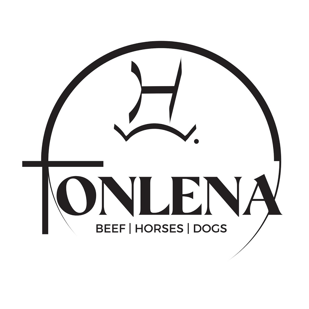 Tonlena Quarter Horses | 12 Edgewood Dr, Emerald QLD 4720, Australia | Phone: (07) 4982 0437