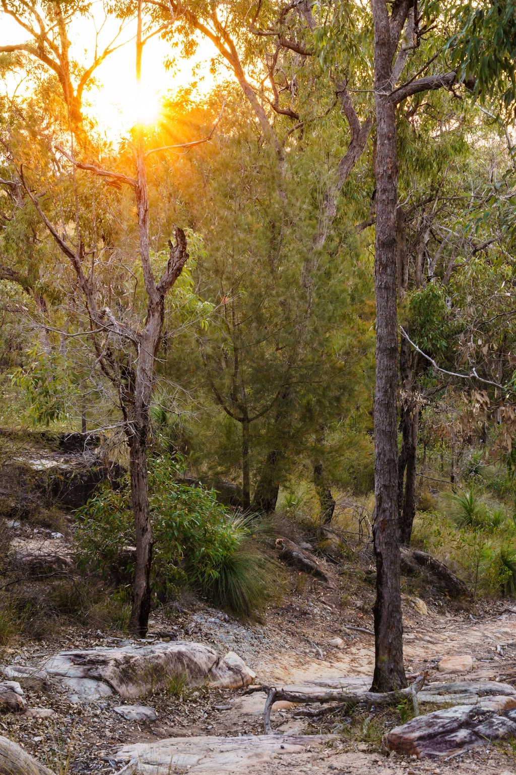 Wickham Peak Lookout | Cedar Creek QLD 4207, Australia