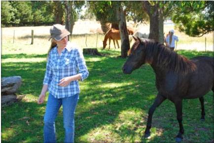 Equine Insight Inc | 612 Black Range Rd, Romsey VIC 3434, Australia | Phone: 0400 224 174