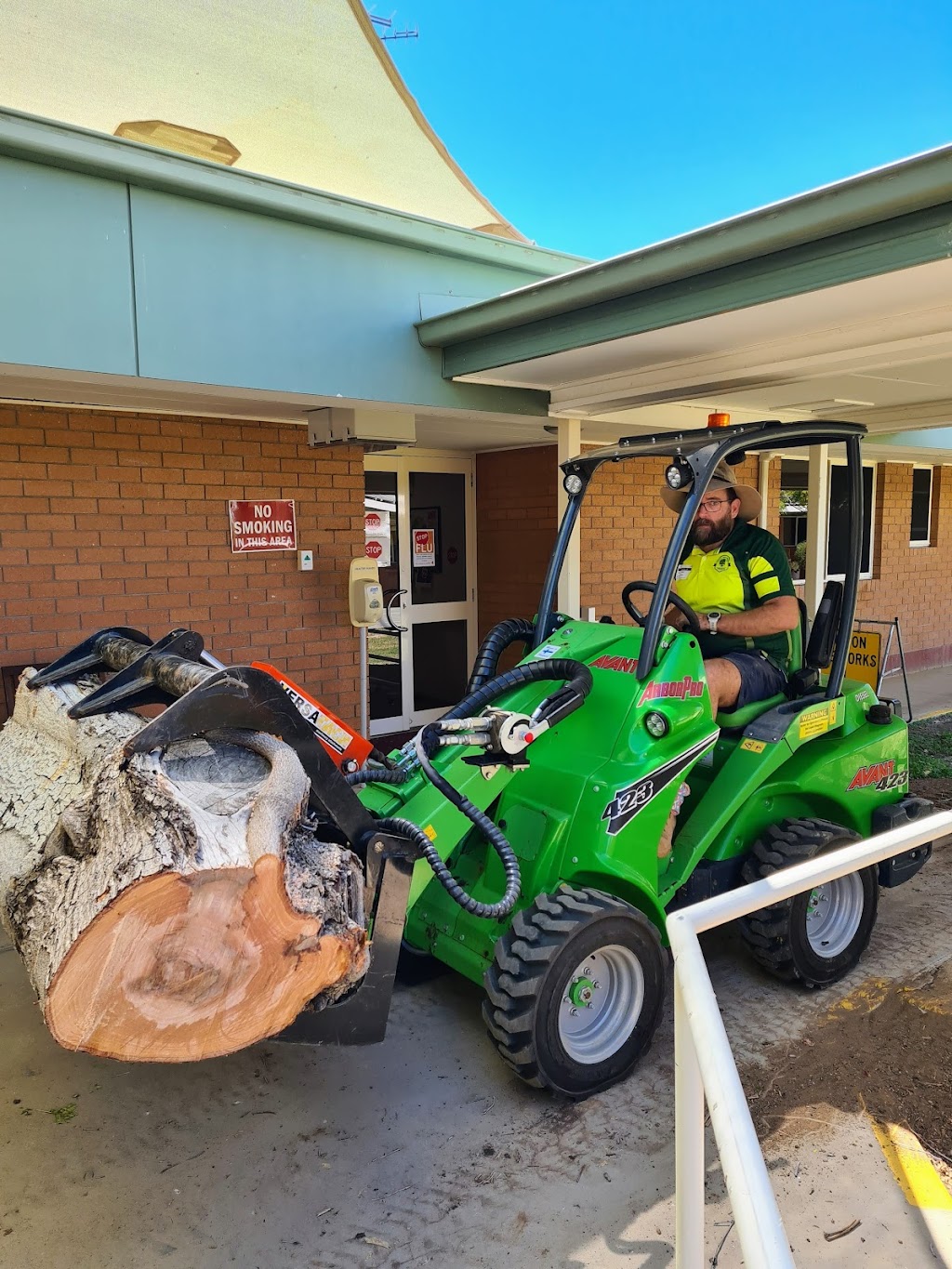 Canopy Tree Trimming | 77 Rangewood Dr, Rangewood QLD 4817, Australia | Phone: 0429 300 212