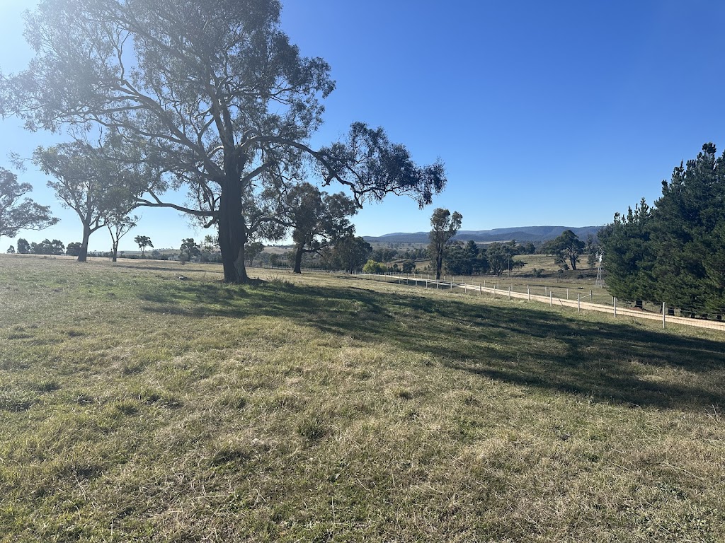 Willowtree Stables | 1659 Mutton Falls Rd, OConnell NSW 2795, Australia | Phone: 0410 531 798