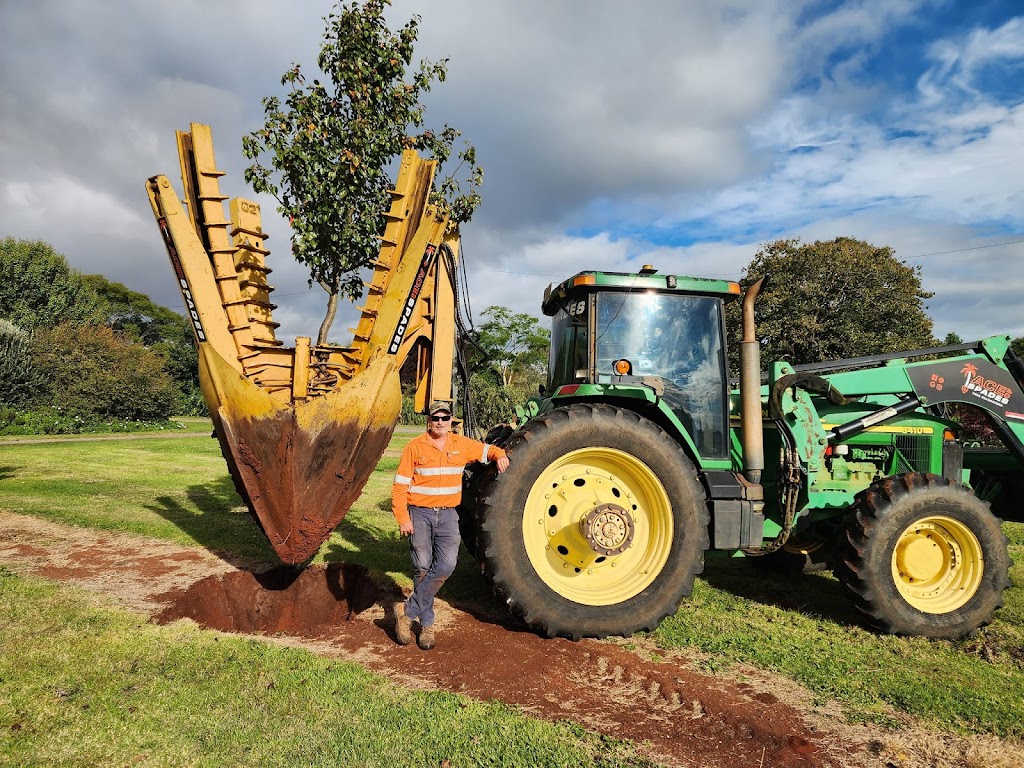 Ace of Spades Tree Relocators | 811 Toowoomba Connection Rd, Withcott QLD 4350, Australia | Phone: 0438 383 213