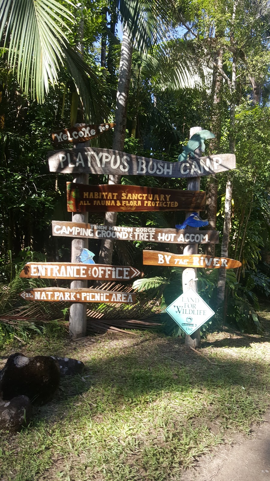 Platypus Bushcamp | 672 Gorge Rd, Finch Hatton QLD 4756, Australia | Phone: (07) 4958 3204