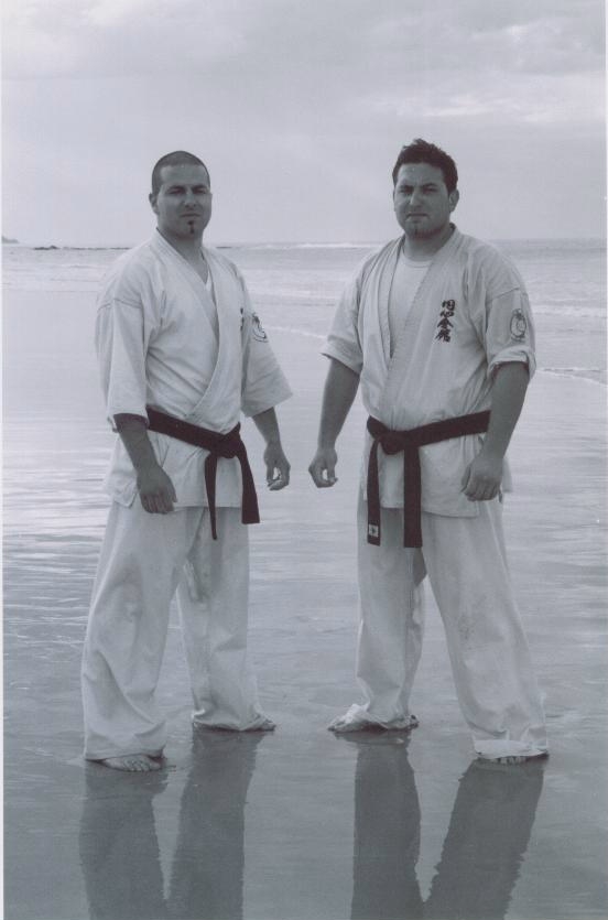 Enshin Karate | health | 67/69 Grand Blvd, Montmorency VIC 3094, Australia | 0394399055 OR +61 3 9439 9055