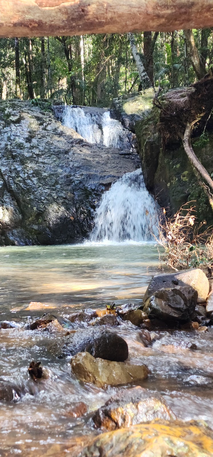 Connect Adventures - Gidjuum Gulganyi Walk | Minyon Dr, Whian Whian NSW 2480, Australia | Phone: 0492 981 811