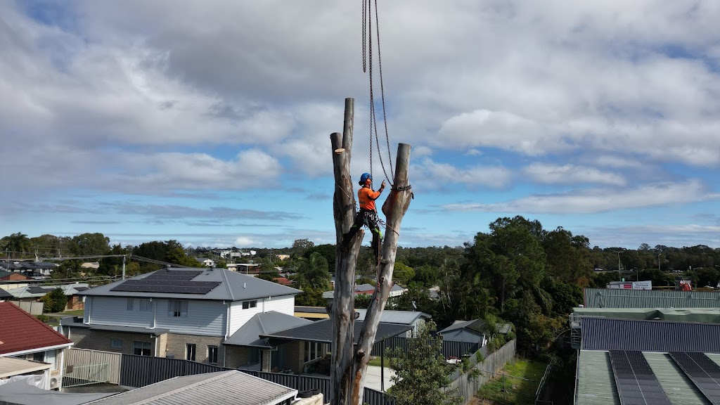 Arborsafe Tree Services Mount Tamborine | Mt Vista Pl, Tamborine QLD 4270, Australia | Phone: 0418 197 006