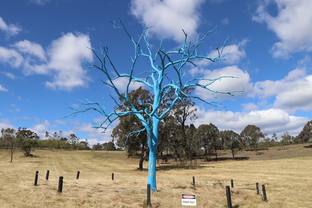 The Blue Tree | tourist attraction | The Australian Botanic Garden, Narellan Road, Mount Annan NSW 2567, Australia | 0246347900 OR +61 2 4634 7900
