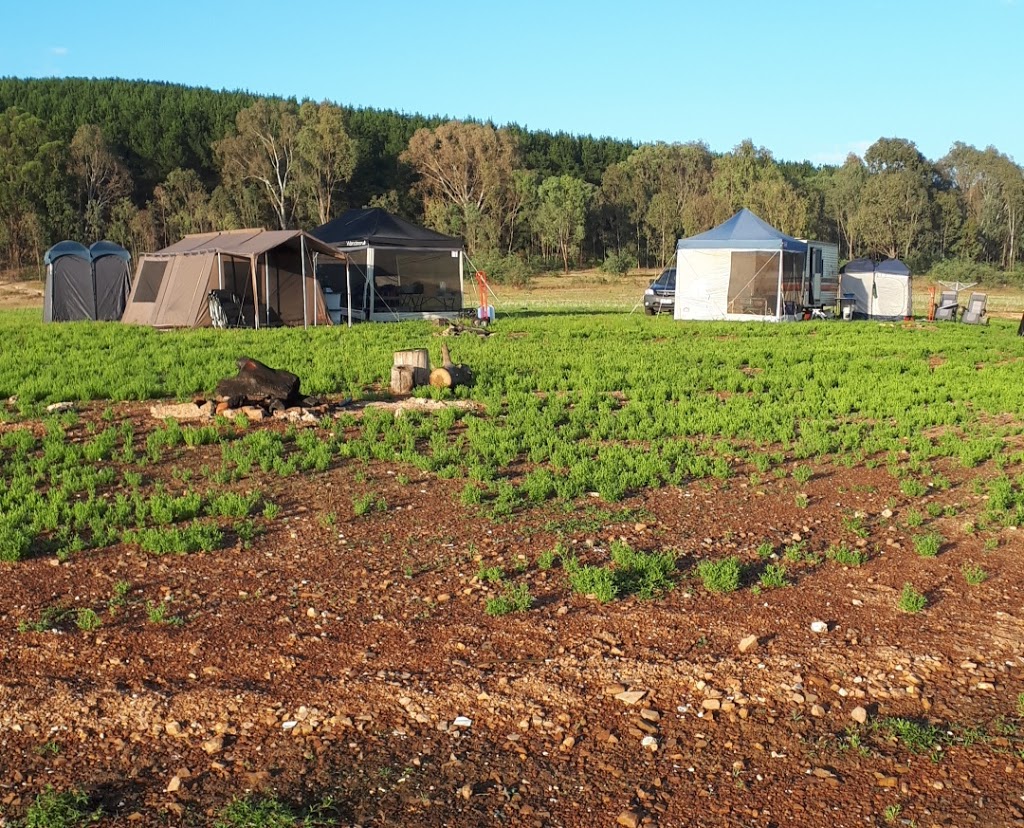 Long Gully Camping Ground | Delatite Plantation Rd, Lake Eildon VIC 3713, Australia
