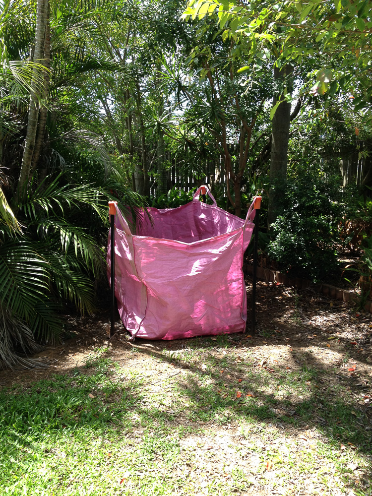 Aussie Palm Clean - Mackay Coconut Removal | 174 Milton St, Mackay QLD 4740, Australia | Phone: 0419 157 213